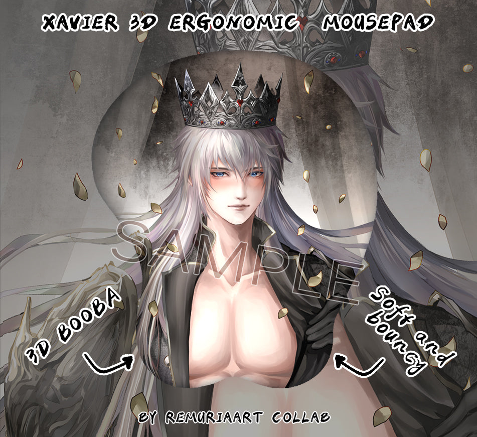 Xavier Dakimakura Limited Edition Bundle